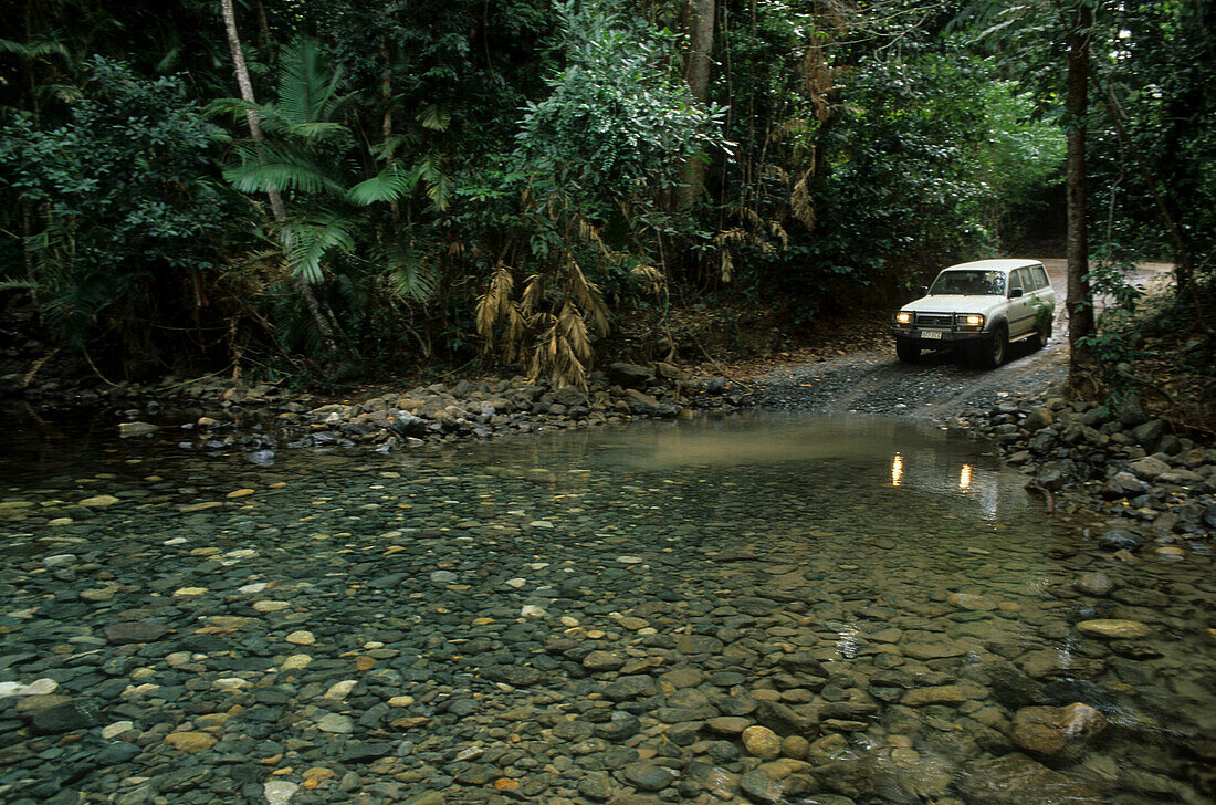 Flussüberquerung im Geländerwagen, Tour durch Regenwald, Daintree Naturpark, Queensland, Australien