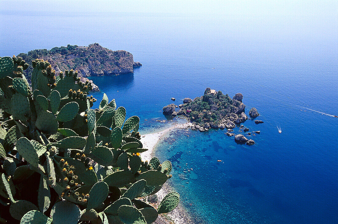 View at cactuses and beach in the sunlight, Isola Bella, Taormina, Sicily, Italy, Europe