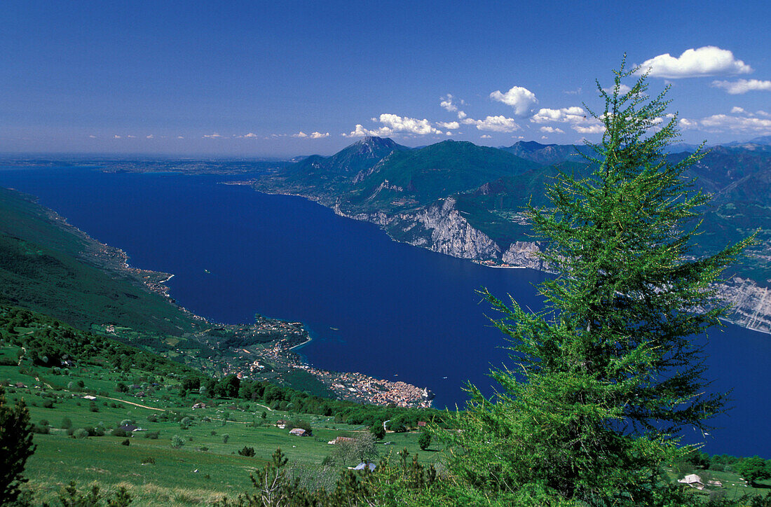 Blick von Monte Baldo auf Gardasee, Lago di Garda, Malcesine, Italien