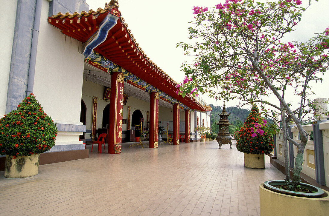 Tempel des Buddhas Pertubuhan Ugama, Sandakan, Borneo, Malaysia, Asien