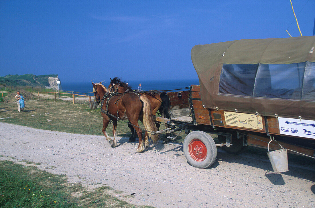 Pferdekutsche zum Kap Arkona, Rügen, Mecklenburg- Vorpommern, Deutschland