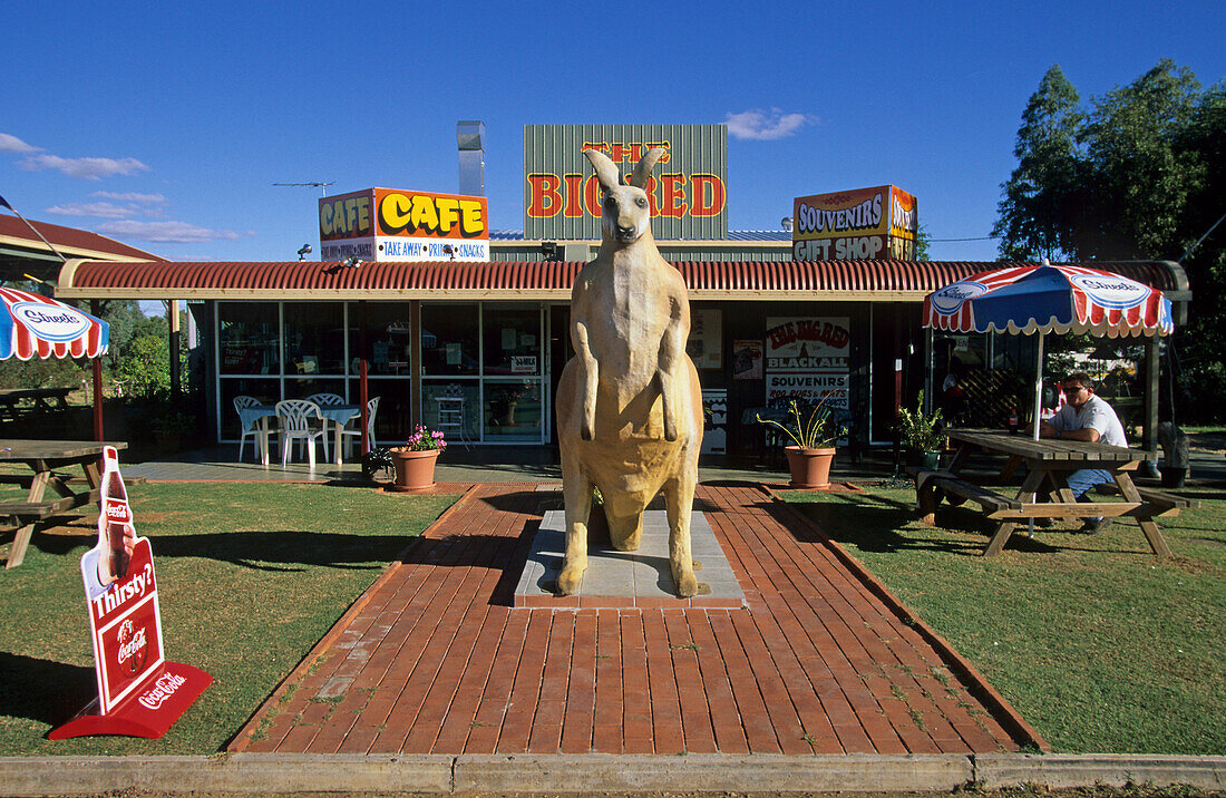 Känguru statue vor Kleinstadt Café, Big Red Café,Matilda Highway, Queensland, Australien
