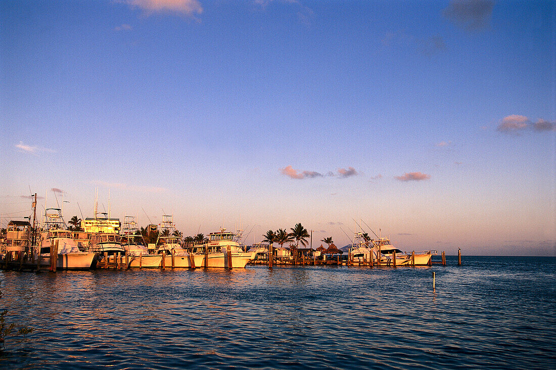 Deep sea fishing boats in the evening sun, Isla Morada, Florida Keys, USA, America