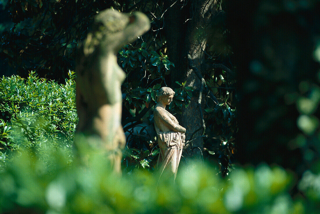 Boboli Gardens, Florence, Tuscany Italy