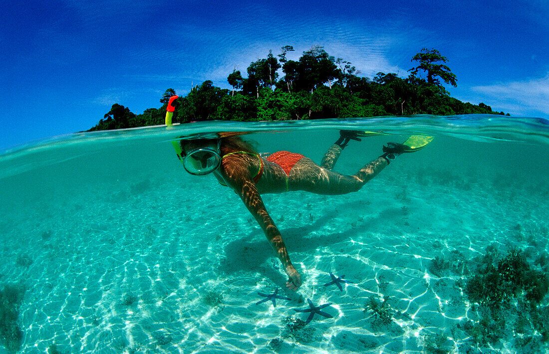 Schnorcheln vor tropischer Insel, Skindiving, Skin, Skin diver, split image