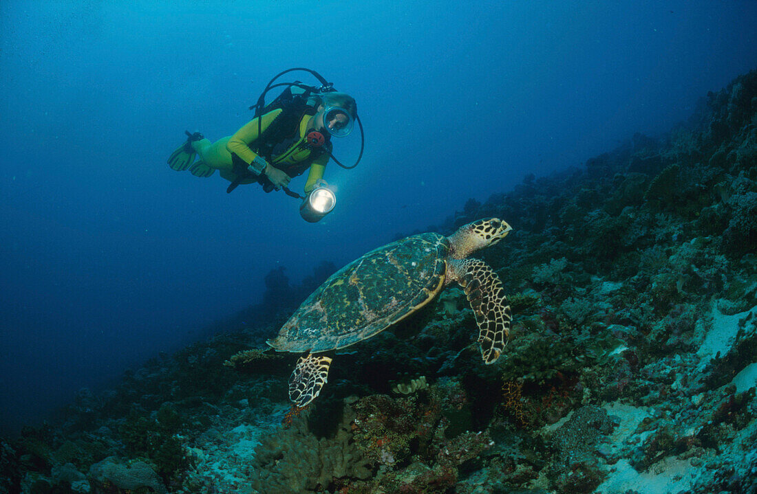 Taucherin mit Schildkröte, Indischer Ozean, Malediven, Asien
