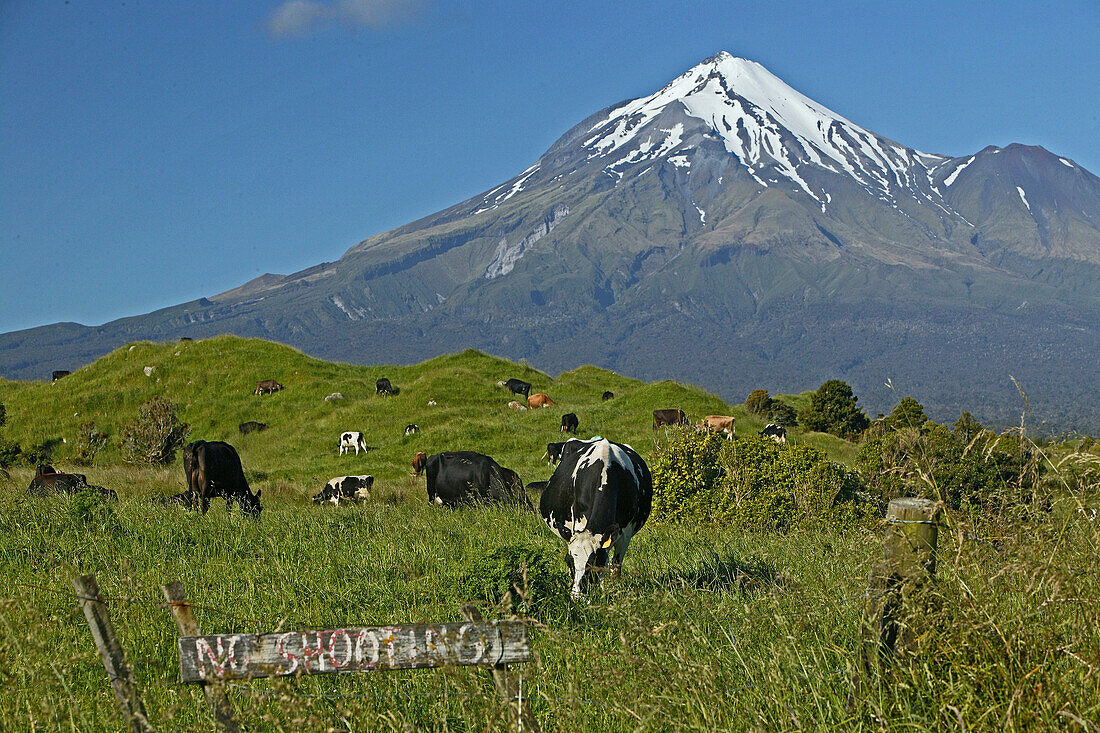 Blick auf den erloschenen Vulkan Mount Taranaki im Egmont Nationalpark, Nordinsel, Neuseeland, Ozeanien