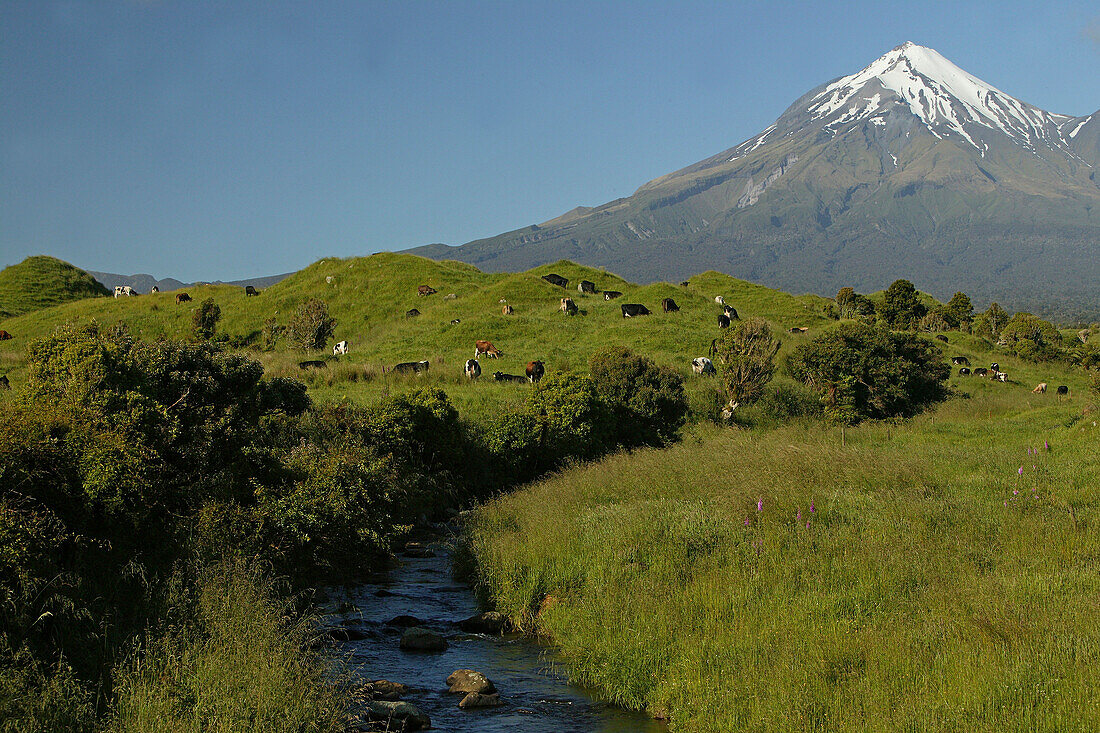 Blick auf den erloschenen Vulkan Mount Taranaki im Egmont Nationalpark, Nordinsel, Neuseeland, Ozeanien