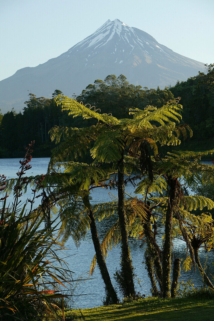 Blick auf den erloschenen Vulkan Mount Taranaki im Egmont Nationalpark, Nordinsel, Neuseeland, Ozeanien