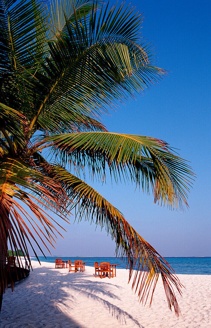 Maldives island Kur, Maldives island Kuredu, Beach