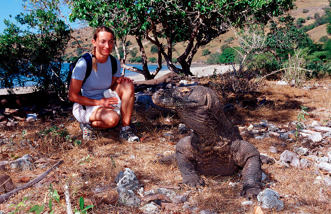 Komodo Waran, Komodo-Waran und Frau, Komodo dragon, Komodo dragon and woman, Varanus komodoensis