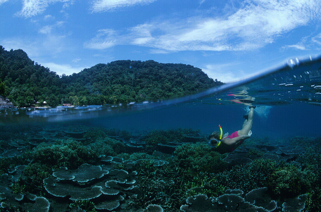 Halb-Halbaufnahme Taucher und Riff, Südchinesisches Meer Malaysia