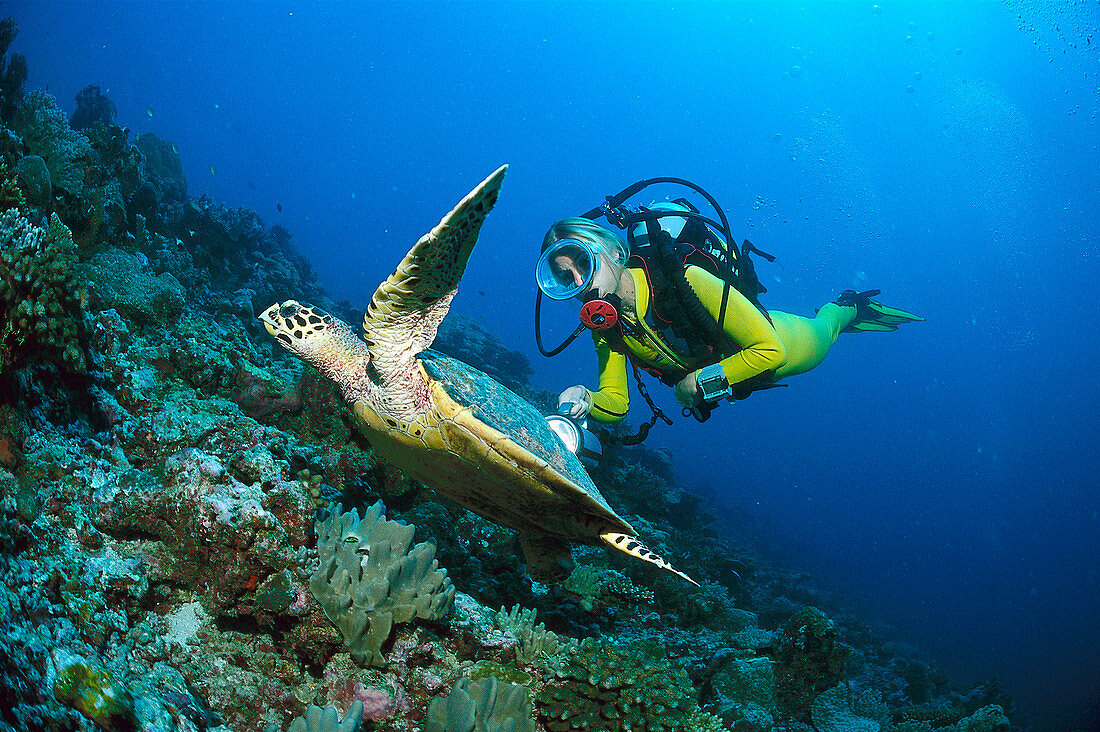 Schildkröte und Taucher, Malediven Indischer Ozean