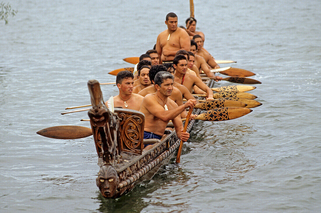 Maori fahren Kanu, Waka taua  (Kriegskanu von Maori), Vertrag von Waitangi, 6. Februar, ein Vertrag zwischen dem Vereinigte Königreich und Maori, Neuseeland
