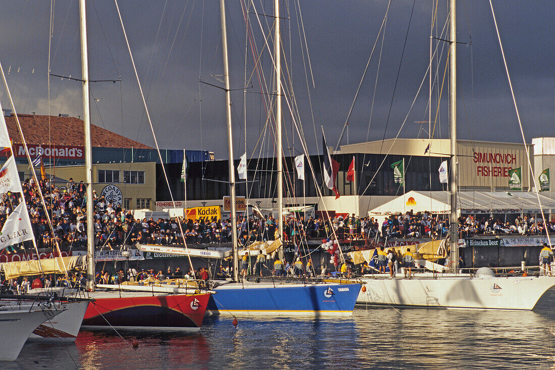 Whitbread Yachtrace 1994, Auckland, Yachthafen, North Island