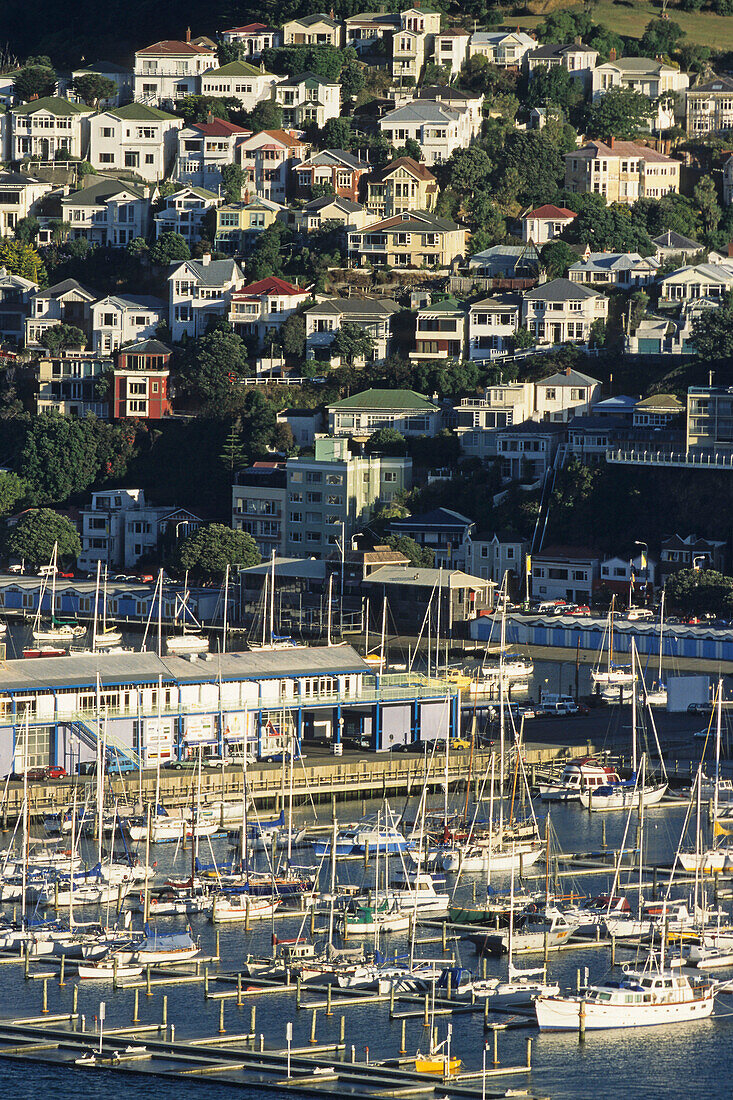 Oriental Parade Marina, Wellington, Yachts berthed in harbour, houses on hill, Jachten, capital, Hauptstadt