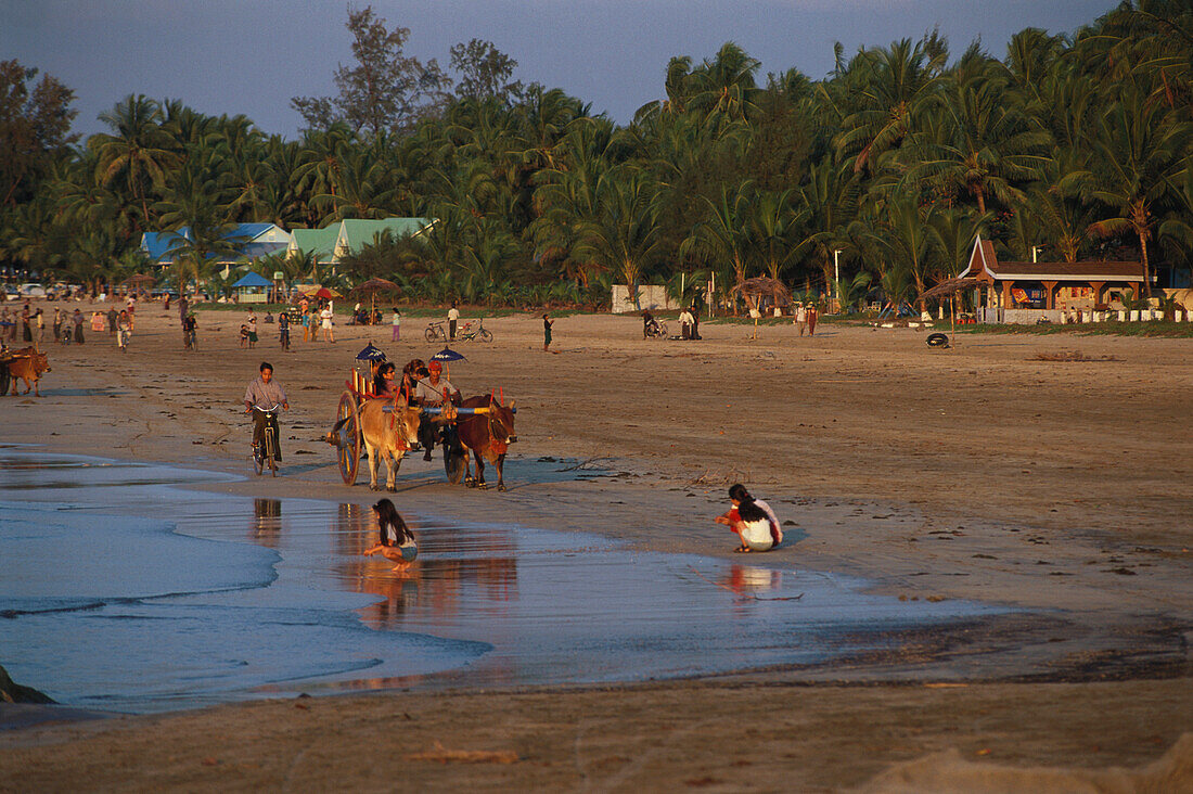 Ochsenkarren am Strand, Chaungtha, Ayeyarwaddy Division Myanmar, Burma