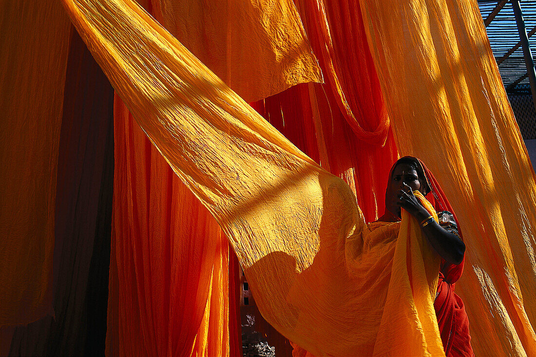 Saristoffe werden nach dem Färben, und Trocknen abgehängt Rajasthan, Indien