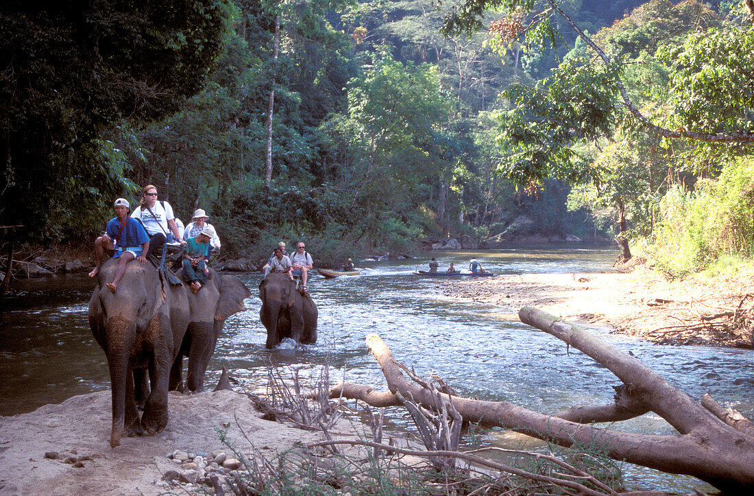 Elefant ride in the djungle near kao Laem lake, S, Kanchanaburi Thailand