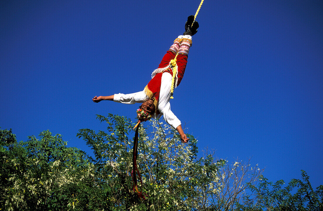 Voladores de Papantia, acrobat wearing traditional costume hanging on a rope, Veracruz, Mexico, America