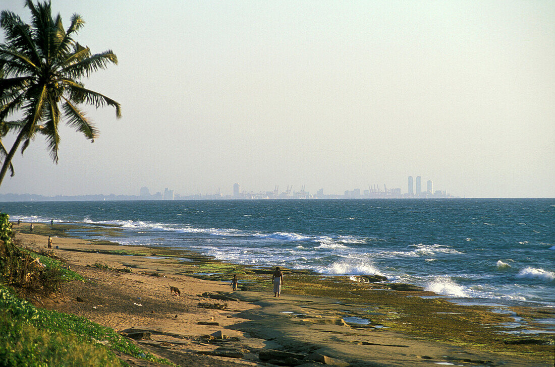Beach, Negombo, near Colombo Sri Lanka