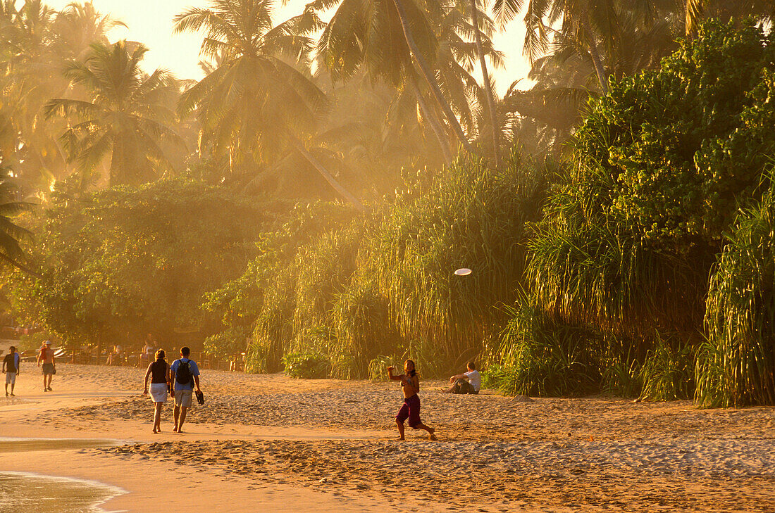 Beach in the evening, Mirissa Sri Lanka