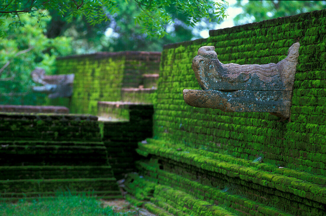 Mossy temple complex with sculptures, Kiri Vihhara, Polonnaruwa, North Central Province, Sri Lanka, Asia