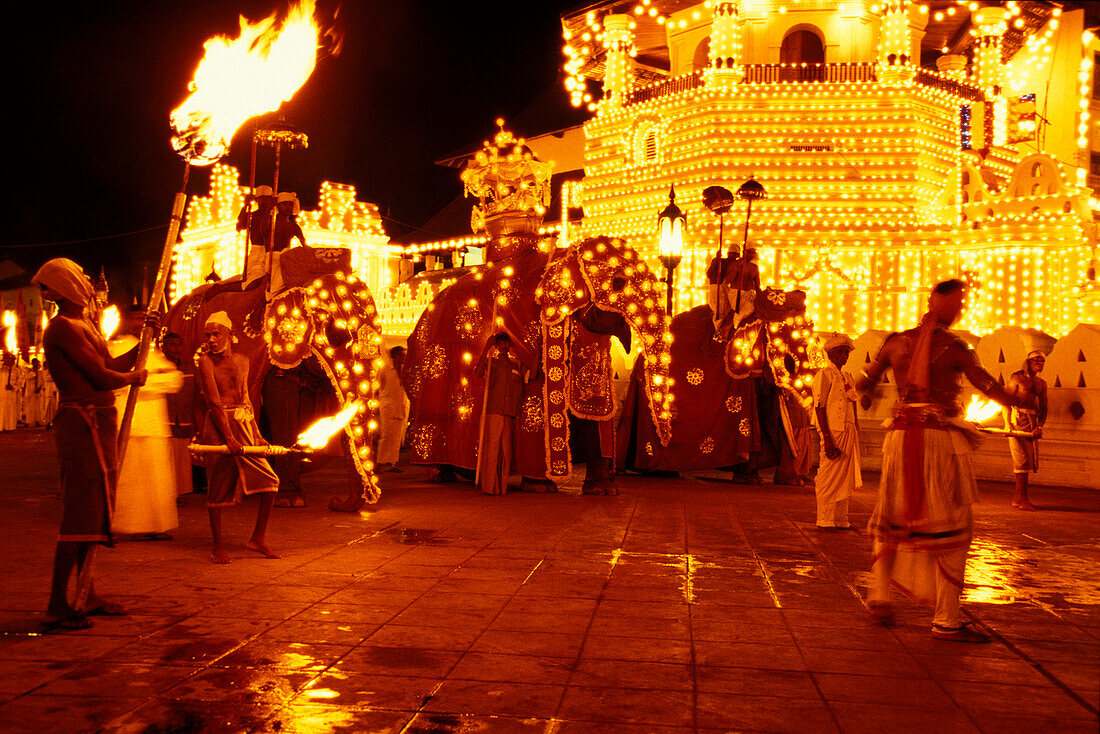 Kandy Perahera procession in front of Dalada Maligawa temple at night, Sri Lanka, Asia