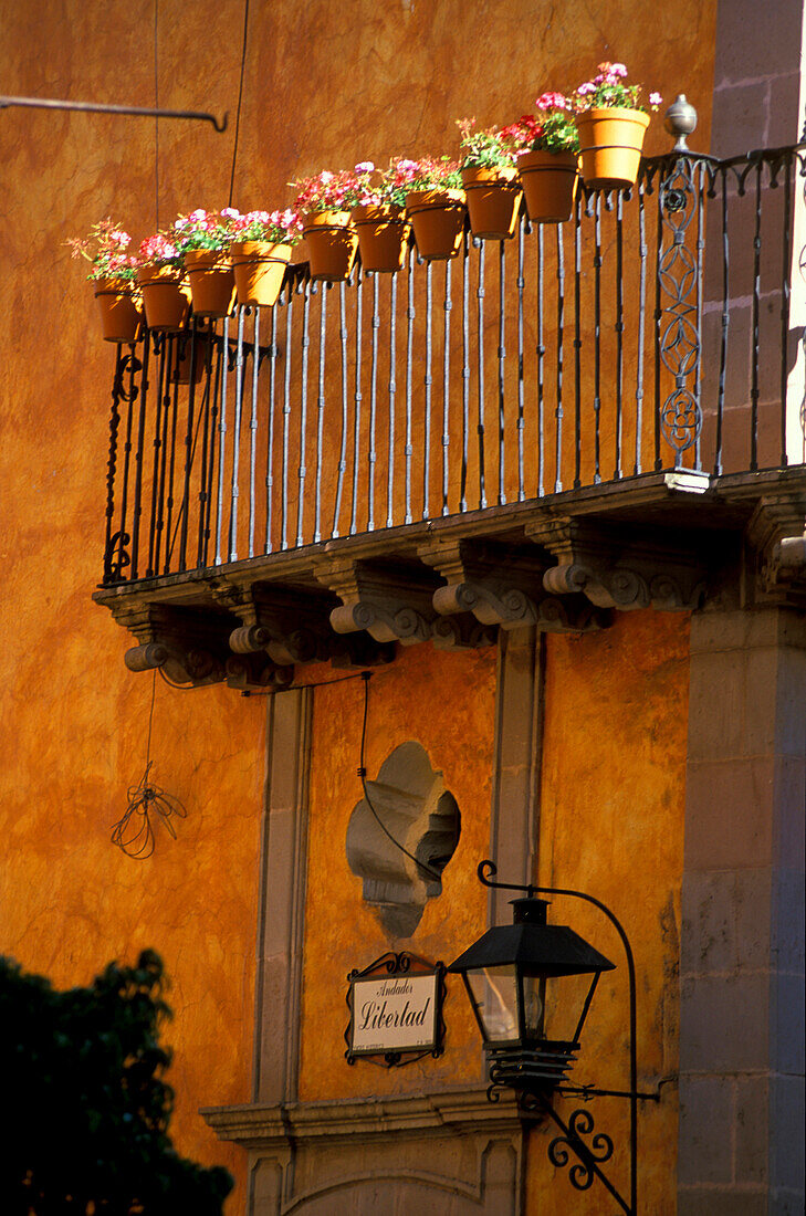 Im Centro Historico, Oueretaro Mexico