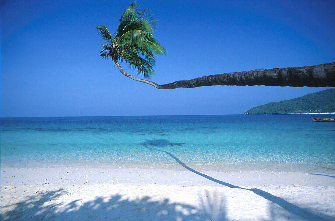 Palme am Strand, Pulau Perhentian, Ostkueste Terenganu, Malaysia, Asien