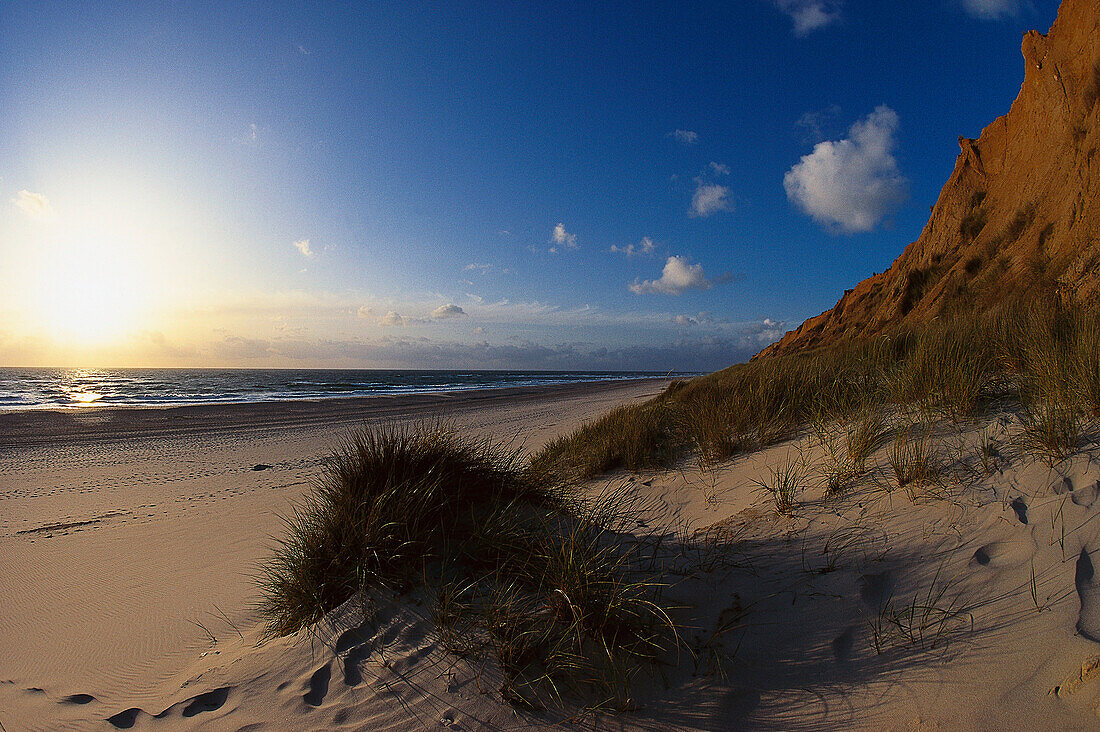 Red Cliffs, Sylt, Westerland, Schleswig Holstein, Germany