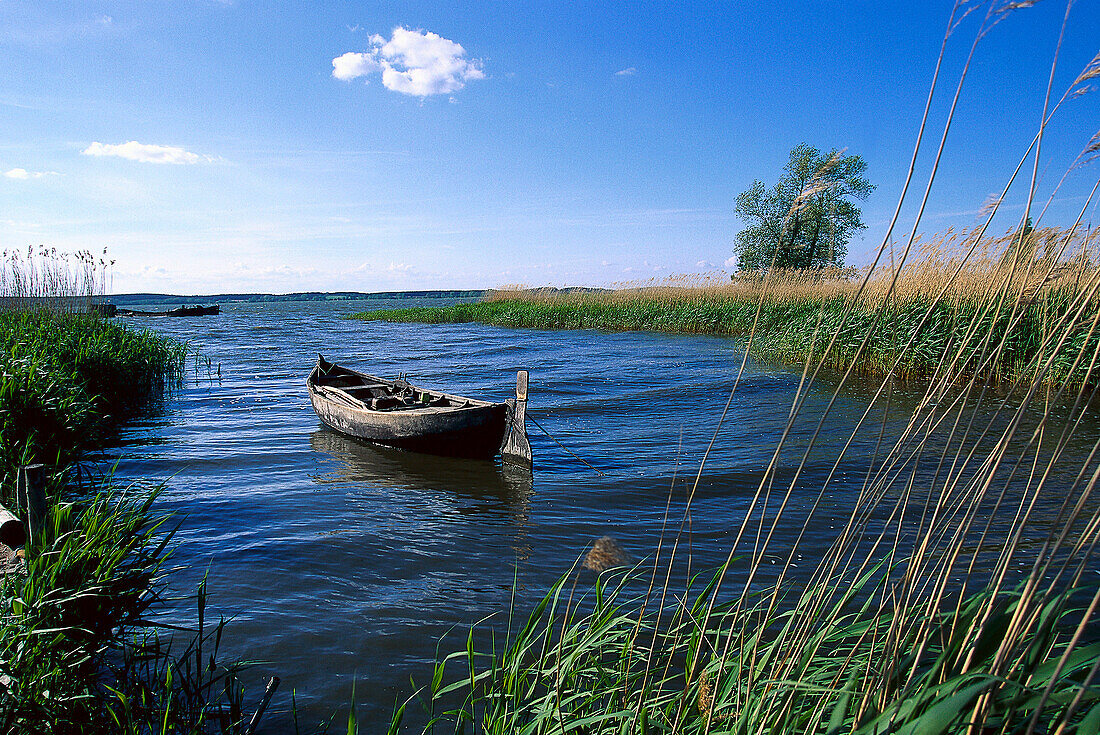 Empty rowing boat, Lieper Winkel, Isle of Usedom, Mecklenburg-Pomerania, Germany