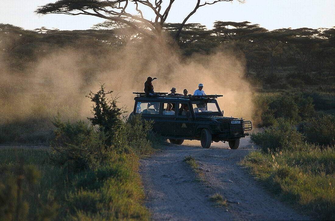 Jeep Safari, Serengeti National Park, Tanzania