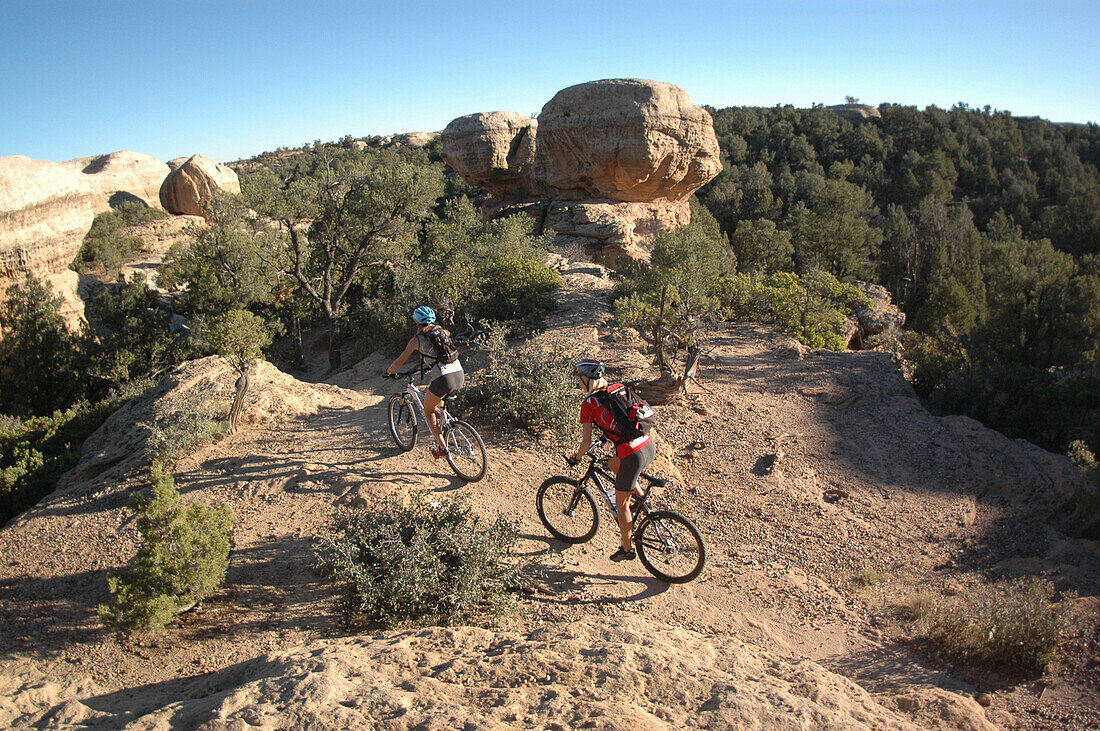 Mountainbike, Gooseberry Trail, Zion National Park, Springdale, Utah, USA