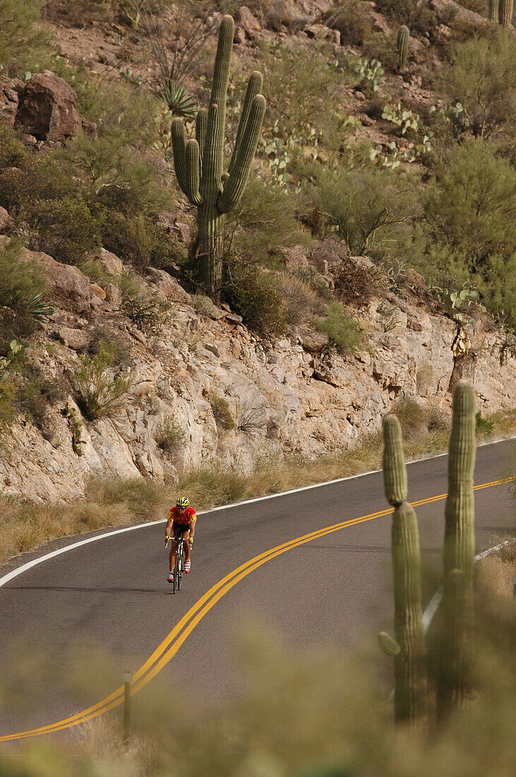 Racing biking, Apache Trail, Arizona, USA