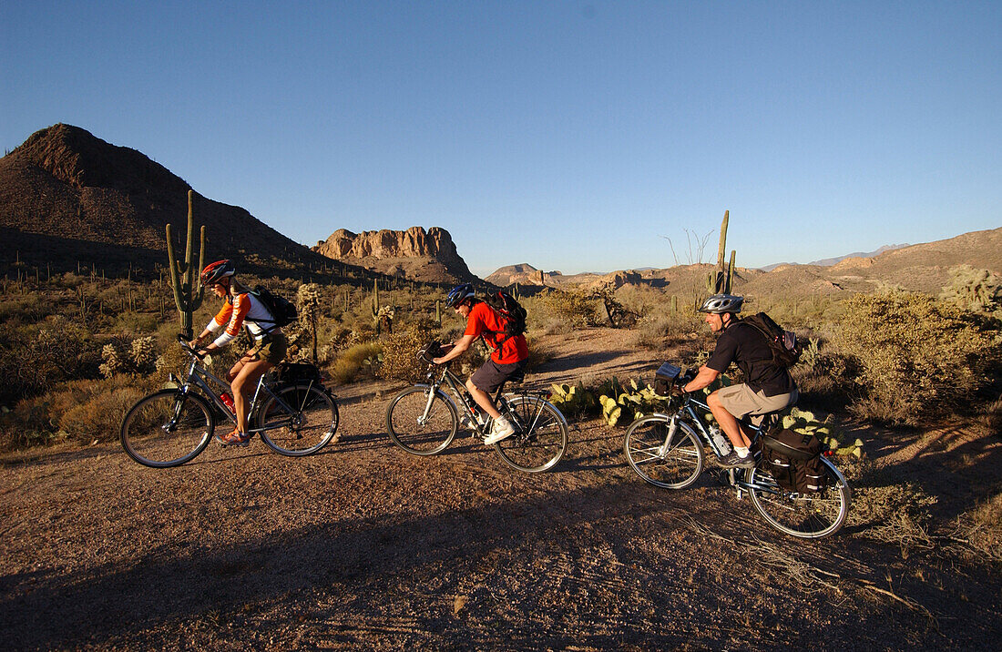 Trekkingrad-Apache Trail, Apache Trail Arizona-USA