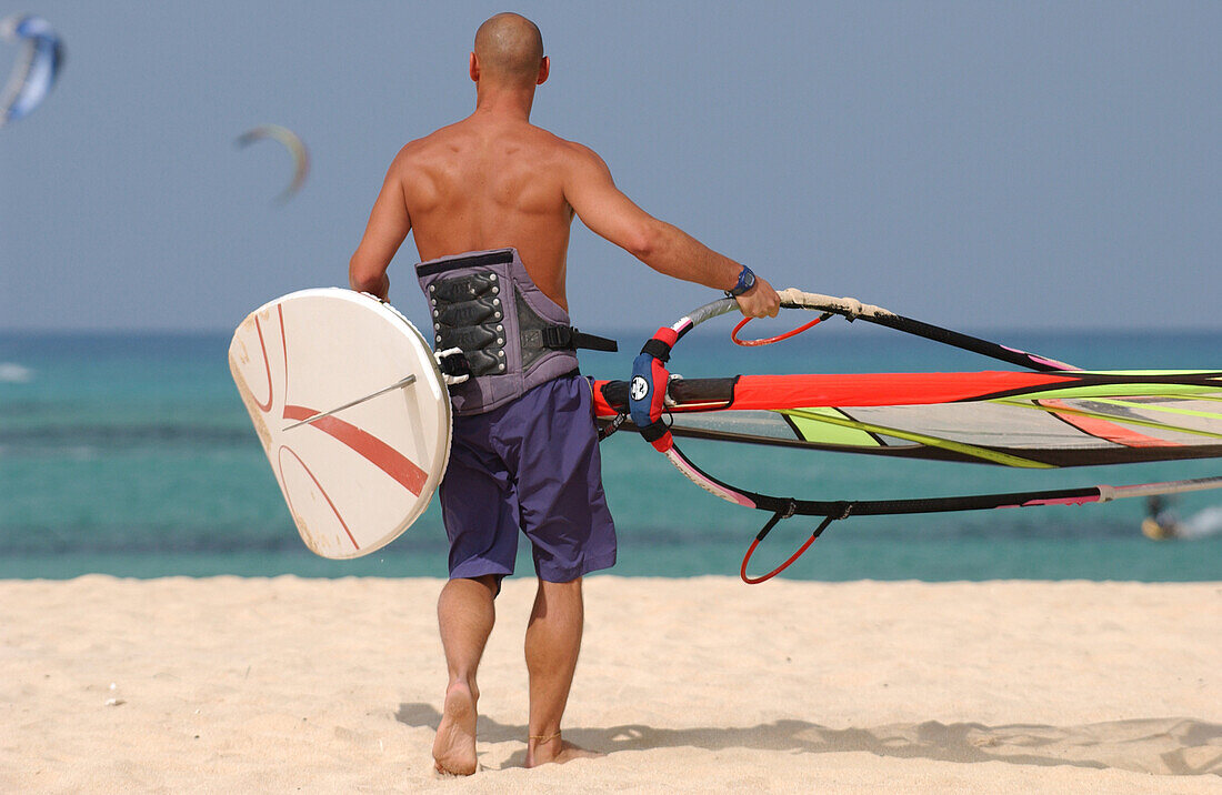 Windsurfer carrying his board to the sea, Fuerteventura, Islas Canarias, Canary Islands, Spain