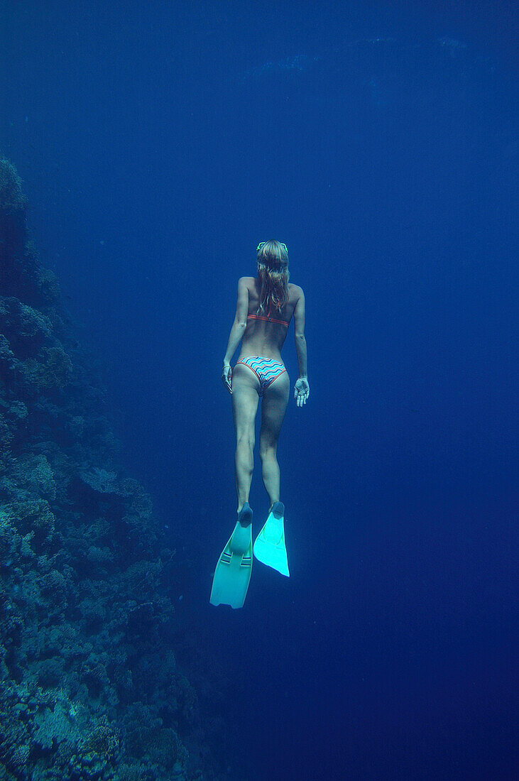 Woman underwater, freediving, Soma Bay, Hurghada, Egypt