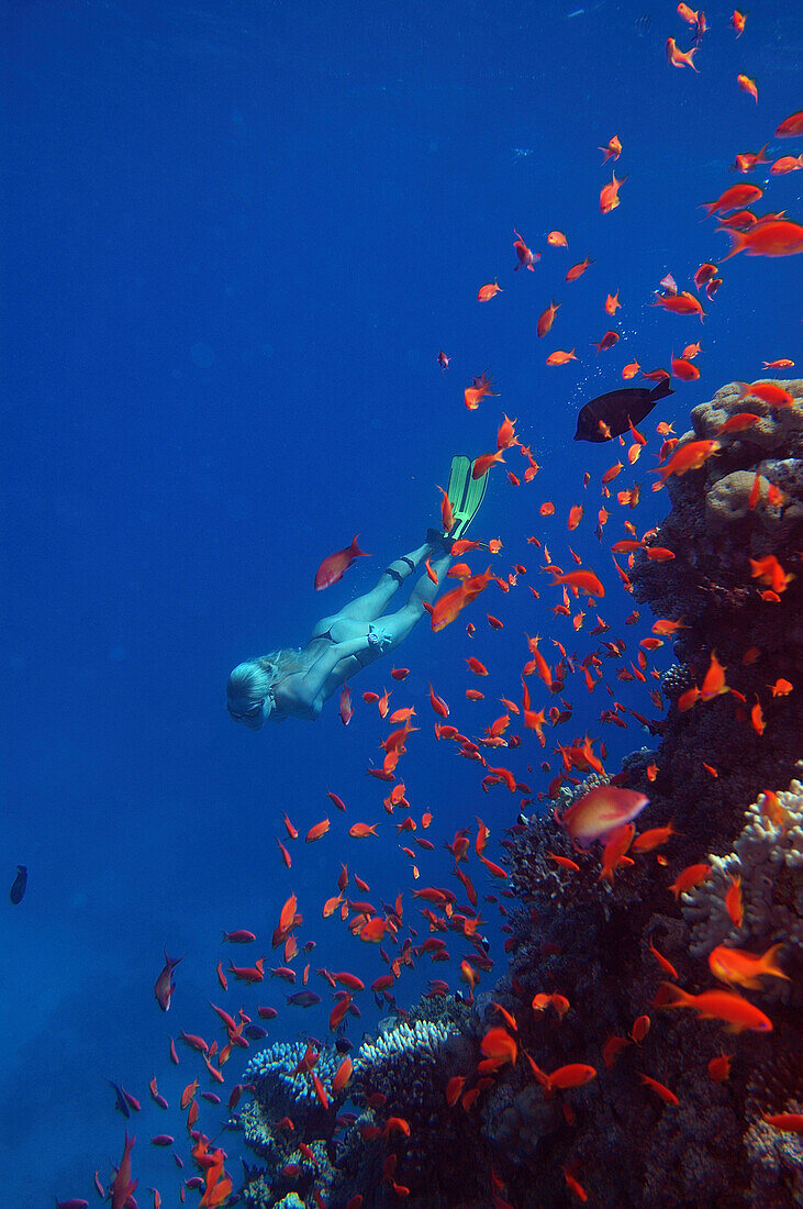 A woman freediving at Soma Bay, Hurghada, Egypt