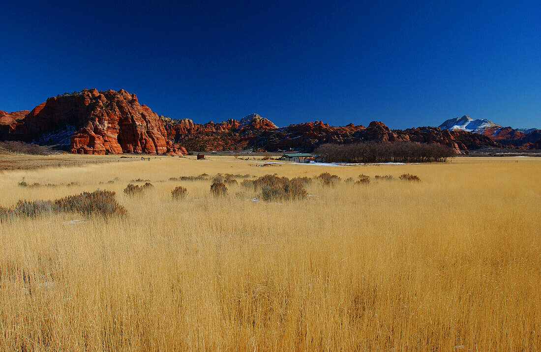 Landschaft, Zion National Park, Springdale, Utah, USA