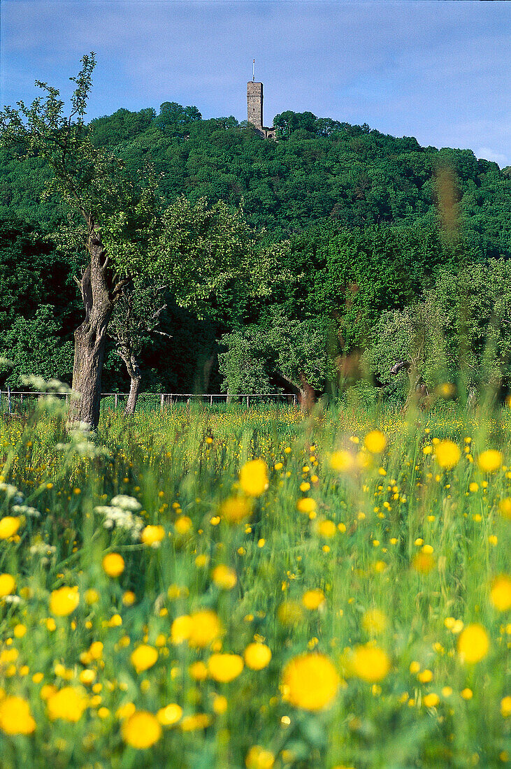 Castleruin, Koenigstein Taunus, Hesse, Germany