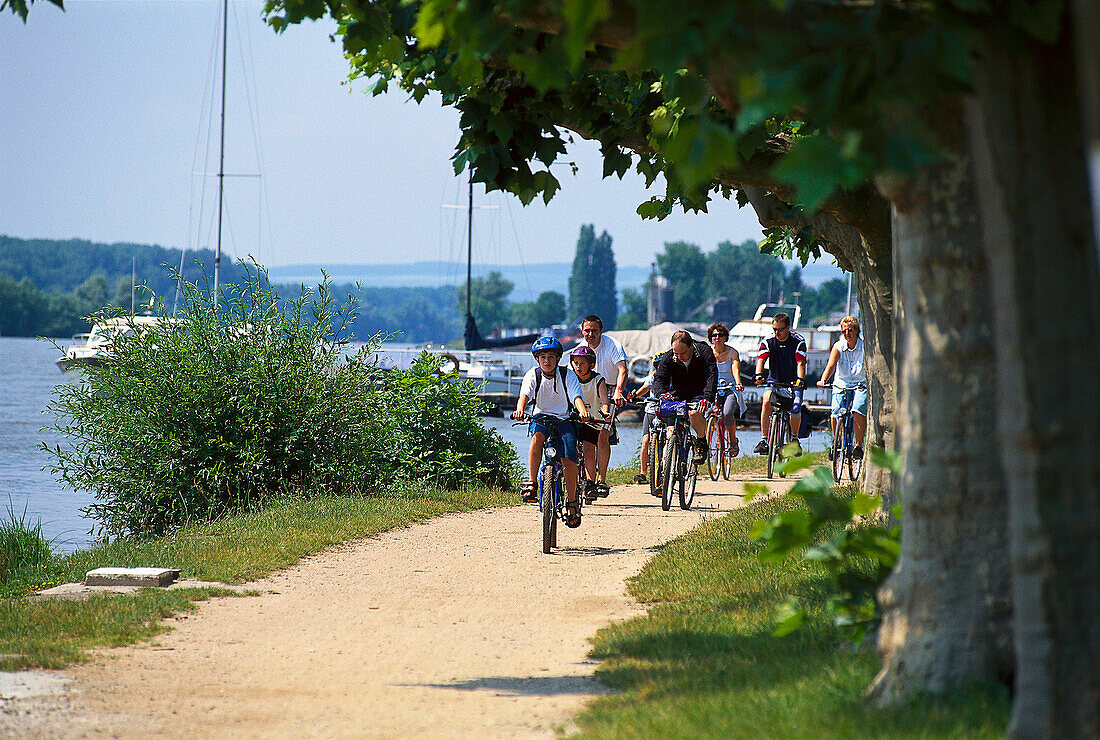 Radfahrer auf Promenade am Rhein, Rheingau, Hessen, Deutschland, Europa