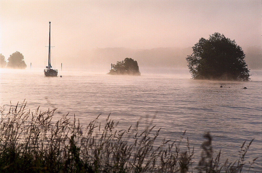 Boat on the river Rhine at dawn, Eltville, Rheingau, Hesse, Germany, Europe