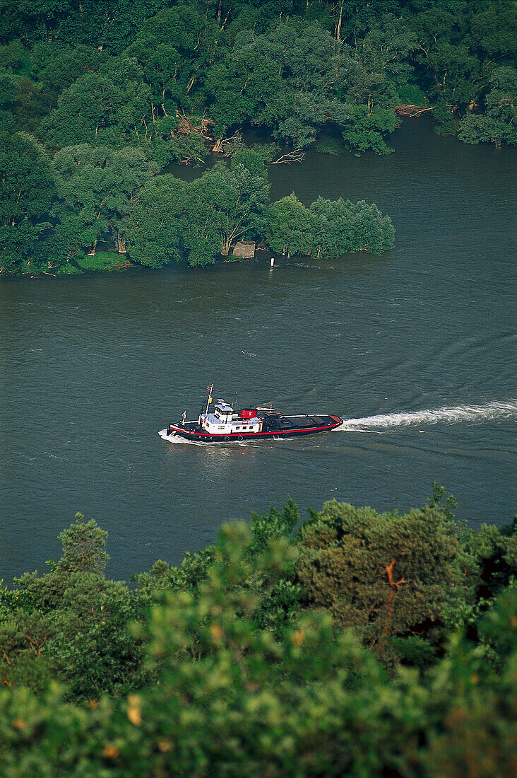 Pilot cutter, Rhine, landscape Rheingau, Hesse, Germany