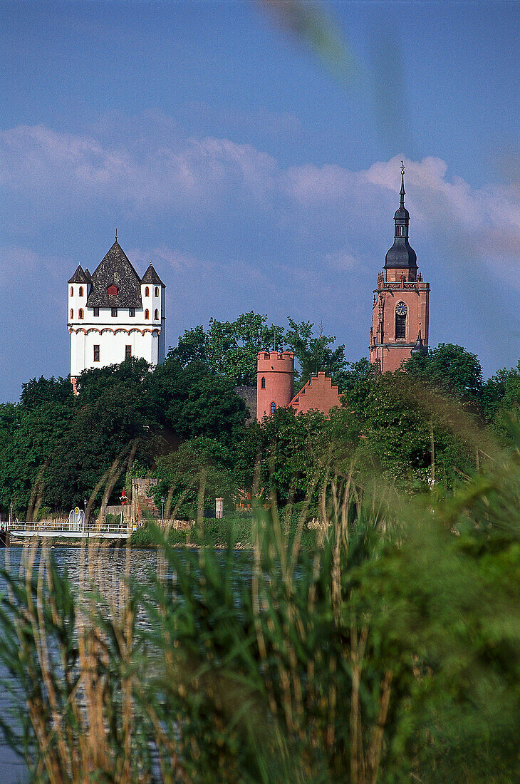Crass castle and electoral castle Eltville at the river Rhein, Eltville, Rheingau, Hesse, Germany, Europe