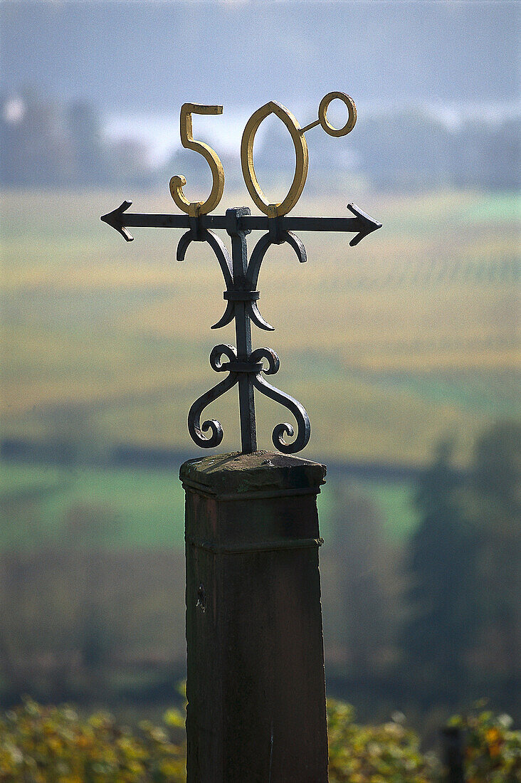 Fünfzigster Breitengrad in idyllischer Landschaft, Johannisberg, Rheingau, Hessen, Deutschland, Europa