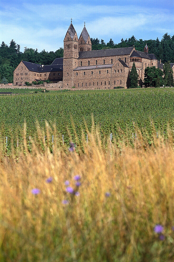 Abbey St. Hildegard in idyllic landscape, Rudesheim, Rheingau, Hesse, Germany, Europe