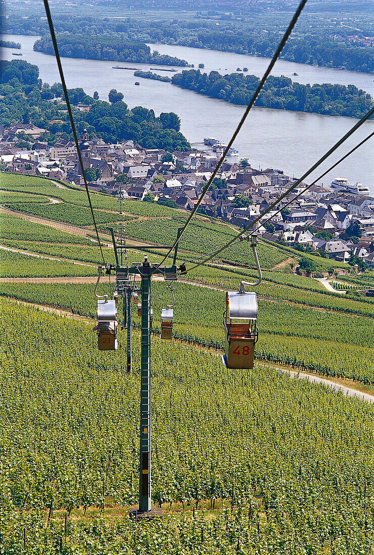 View at chair lift above idyllic landscape, Rudesheim, Rheingau, Hesse, Germany, Europe