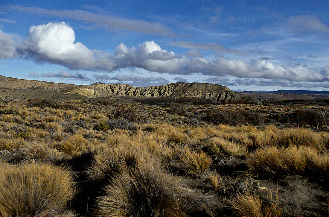 Steppe, vast plains, Patagonia, Argentina