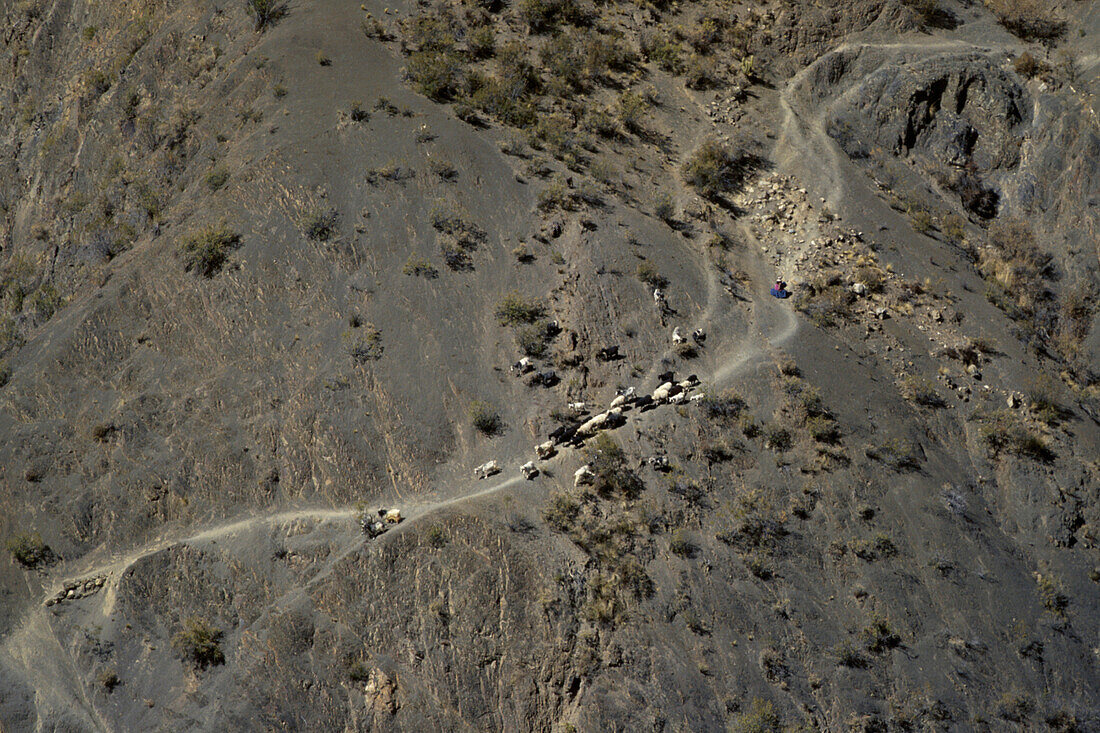 Indios auf Bergpfad, Colquechaca, Bolivien